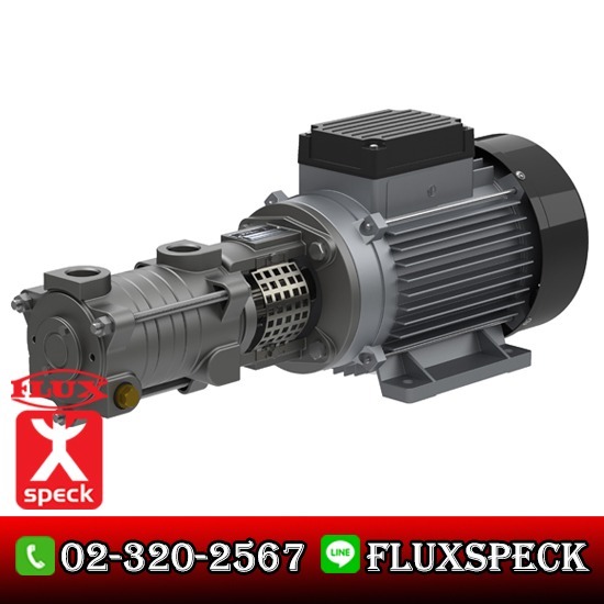 Side Channel Pump With mechanical seal - บริษัท ฟลุคส์ ชเป็ค ปั๊ม จำกัด Side Channel Pump With mechanical seal - บริษัท ฟลุคส์ ชเป็ค ปั๊ม จำกัด